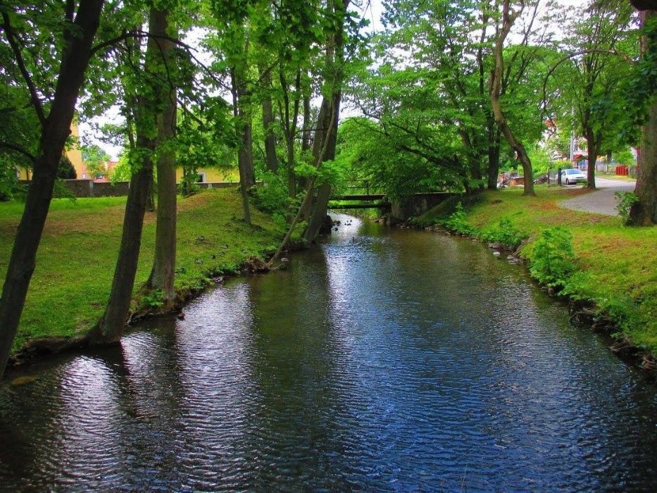 Pokoje gościnne "W Parku" - Dąbrówno, Grunwald, Mazury