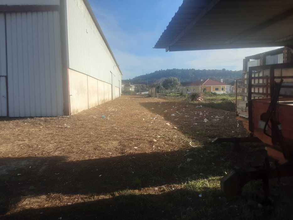 Armazem em Alcanede com 1300 m2 + 200 m2 de logradouro  e 7m de pé direito para alugar !