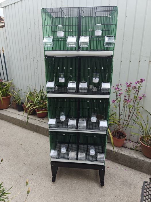 Módulo de criação canários