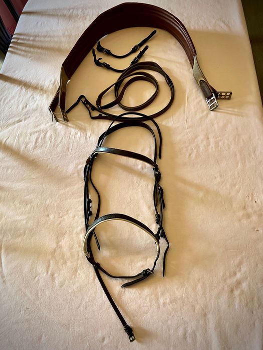 Sela e cilha Nelson Pessoa e demais arreios.