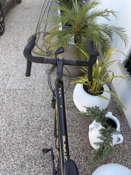 Trek Domane AL2 Como Nova