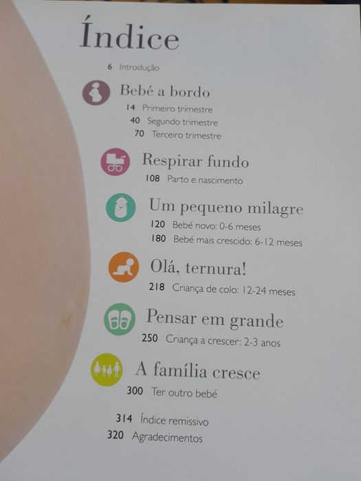 Livro grande gravidez e bebé