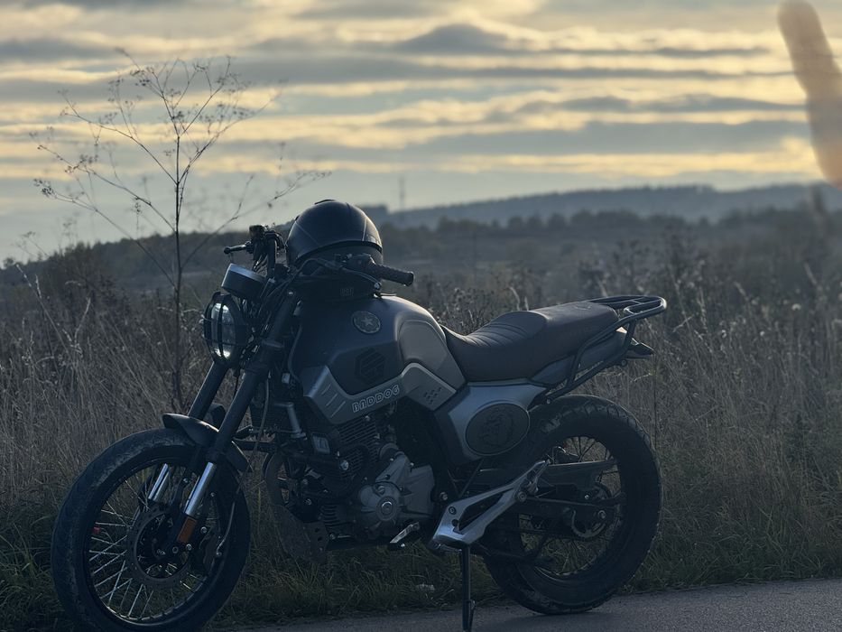 geon baddog 250