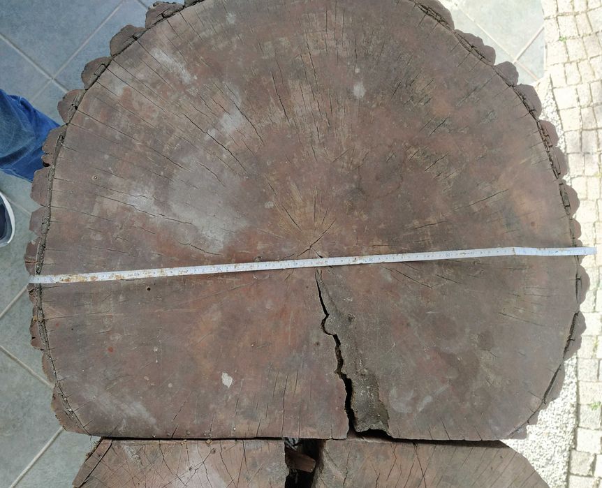 Duży pień na stół duże pnie