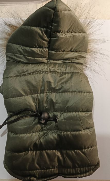 Одяг для домашніх улюбленців.