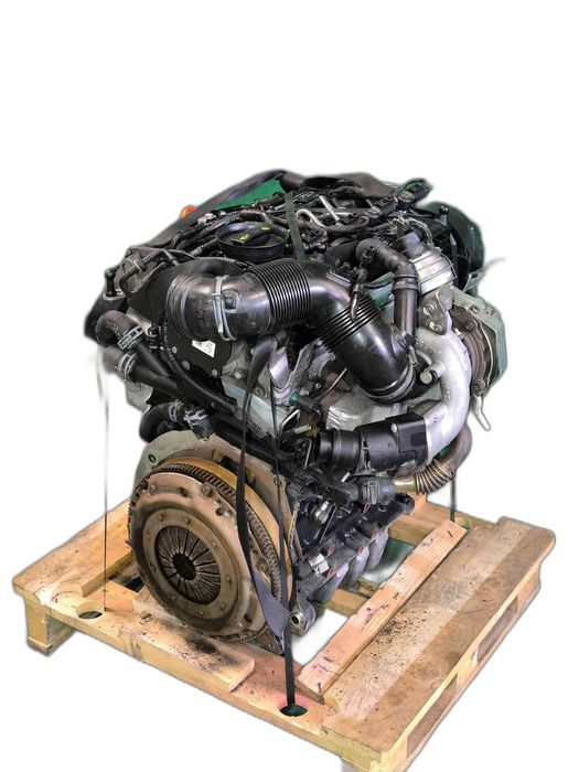 Motor Completo VW CADDY III Veículo multiuso 1.6 TDI (75 kW / 102 cv) [08.2010 - 05.2015] CAY (OEM)