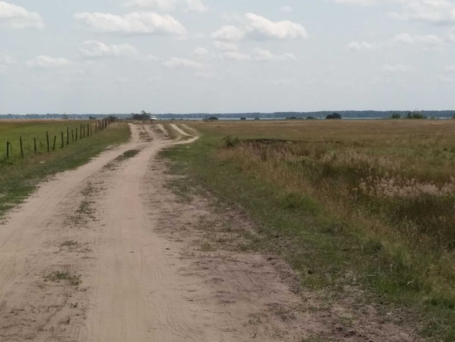 озеро Світязь Земельна ділянка під житлову забудову Світязь - Пульмо, площа 18 сот Шацькі озера, Шацьк