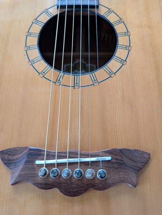 Електоакустика Washburn D46CSE