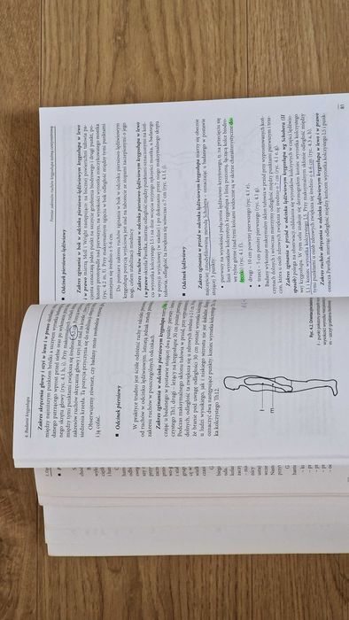 Diagnostyka w kinezyterapii i masażu – Walaszek, Kasperczyk, Magiera (Biosport, 2007)