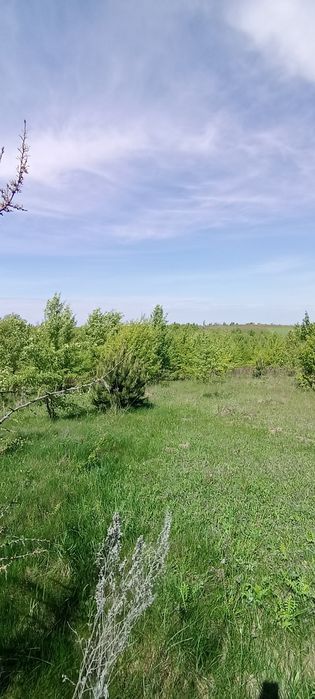 $ Продаж ділянки біля Білої Криниці