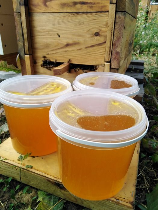 Домашний мёд / разнотравье
