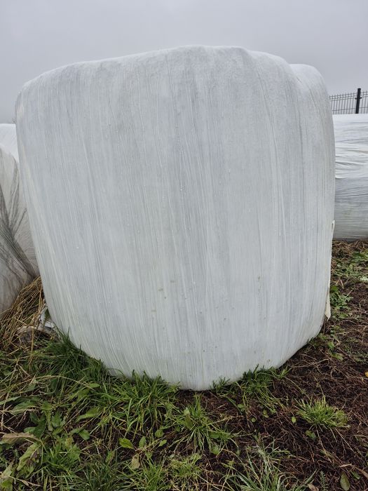 Sianokiszonka z lucerny