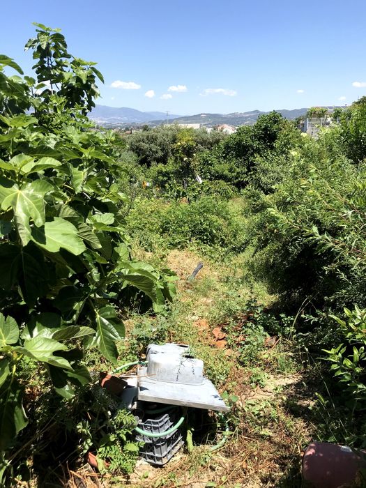 Lote para construção ou quintinha dentro da cidade - 2100m2