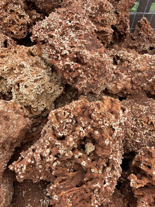 Czerwony Wapień Kamień do Akwarium Malawi Tanganika Koralowiec Skała