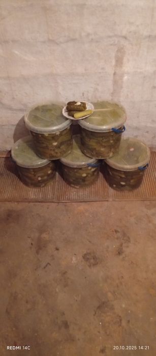 Продам солёный огурец