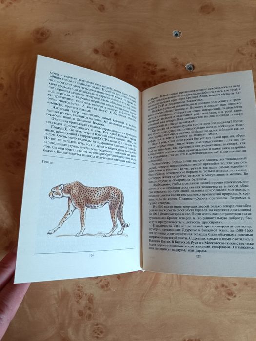 Редкие животные, красная книга