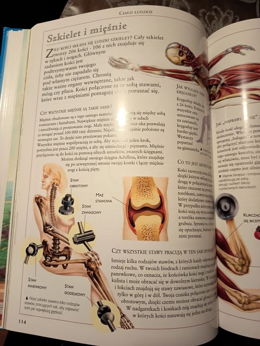 Encyklopedia ilustrowana -pytania i odpowiedzi