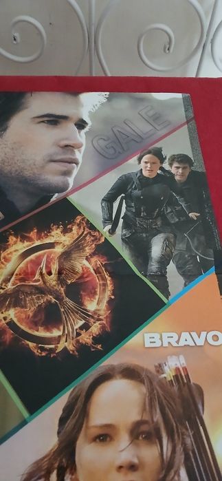 Poster Sinsajo - Katniss e Gale, novo