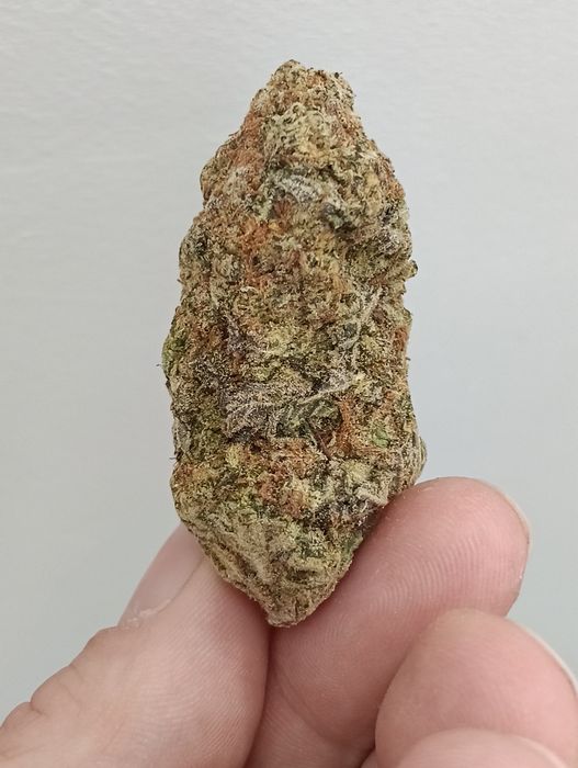 Susz THC / CBD - Cali Blue Cheese - Legend !!