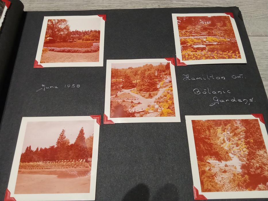 Album ze zdjęciami 175 fotografie