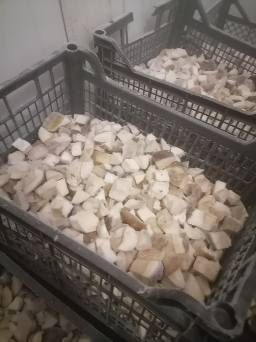 Продам гриби білі морожені