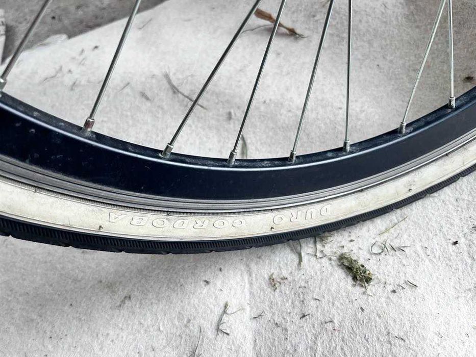 Rower młodzieżowy Zeger 24''