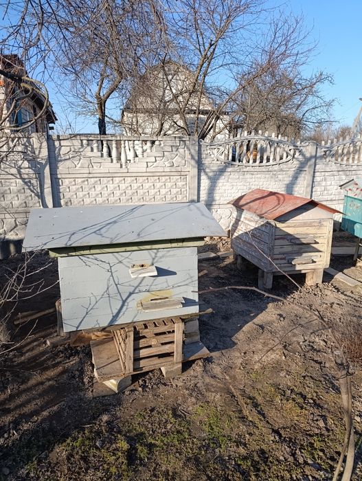 Вулики під рамки дадан