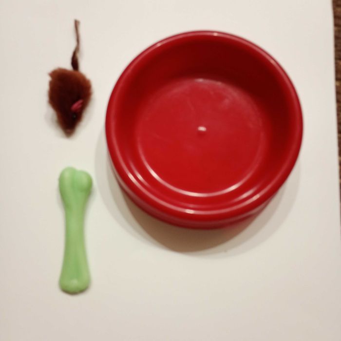 Зоотовары для собаки