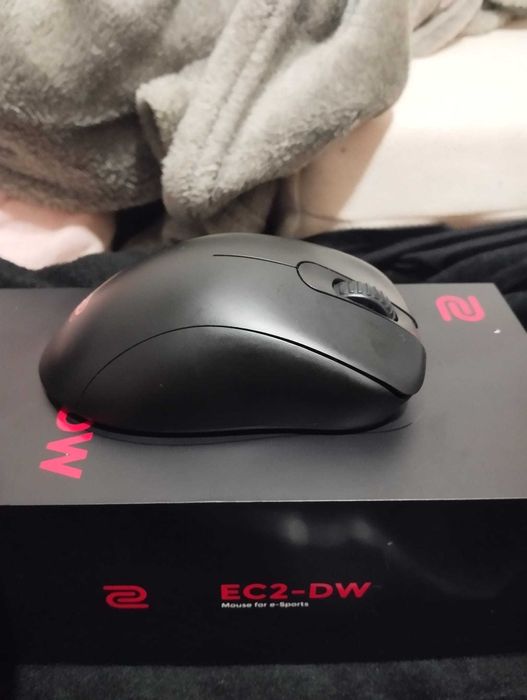 Rato Gaming BenQ EC2-DW