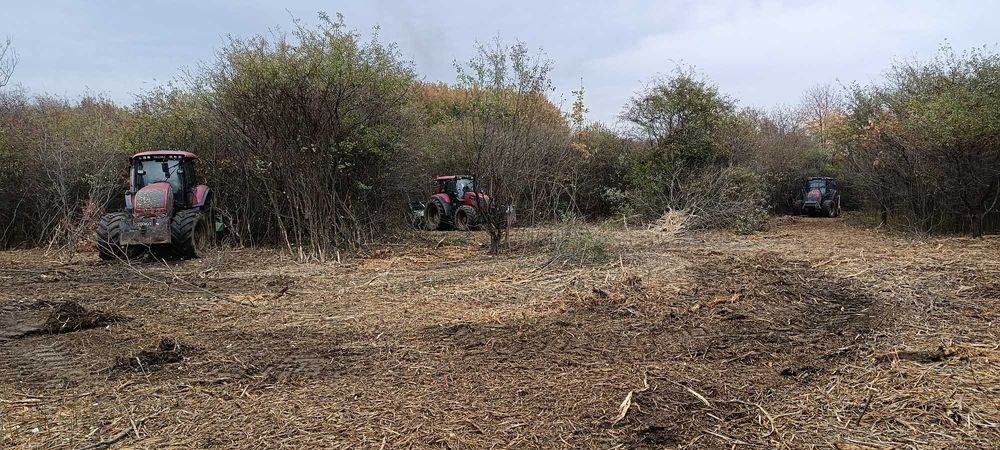 WYCINKA DRZEW Czyszczenie działki MULCZER LEŚNY karczowanie