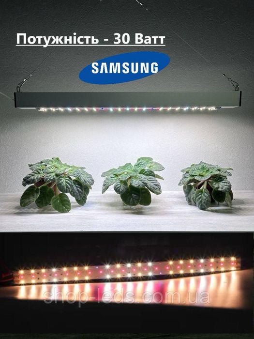 Фітолампа 30W Samsung lm281B+, фіто лампа універсальна, квіти, розсада
