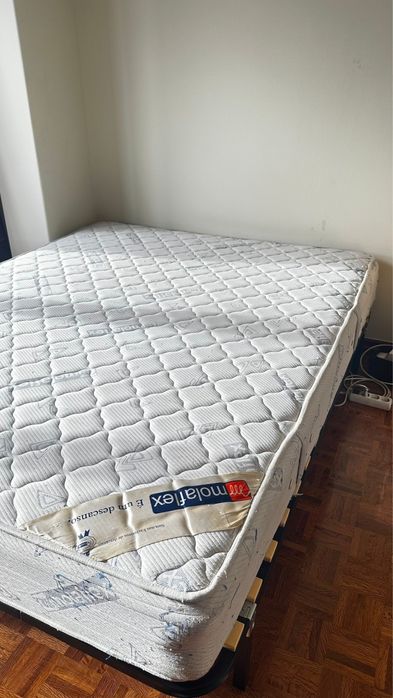 Colchão Molaflex 1.6mX2m