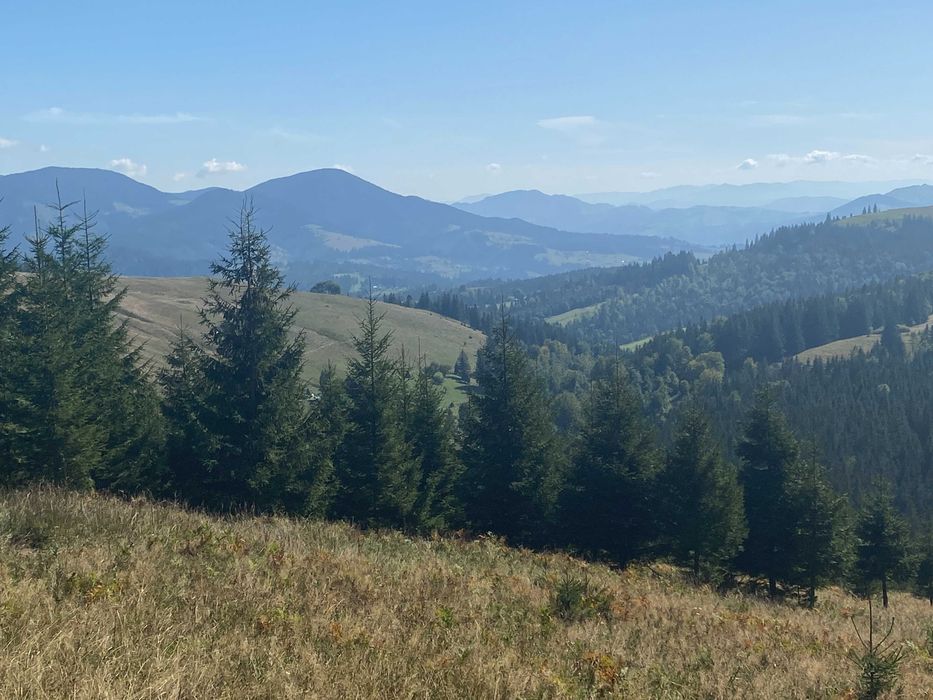 Земля під екопоселення 26 гектарівів