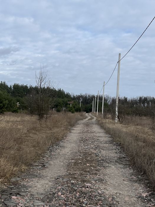 15 сот біля соснового лісу з ялинками с.Здорівка