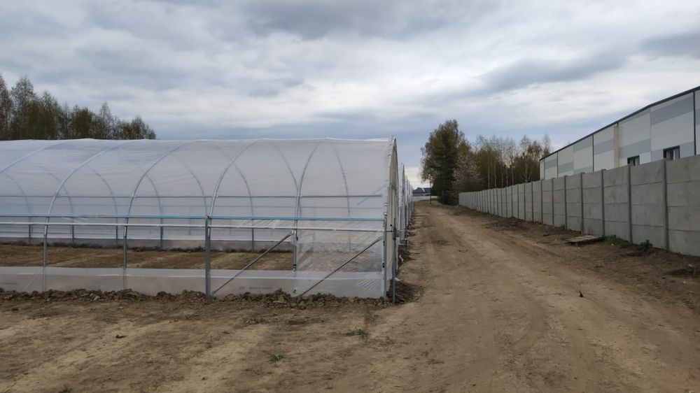 Tunel foliowy truskawka malina papryka