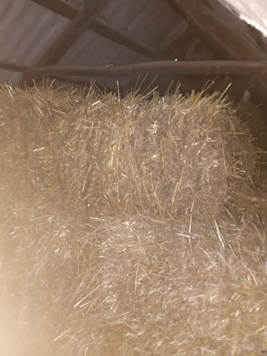 Продам солому в тюках