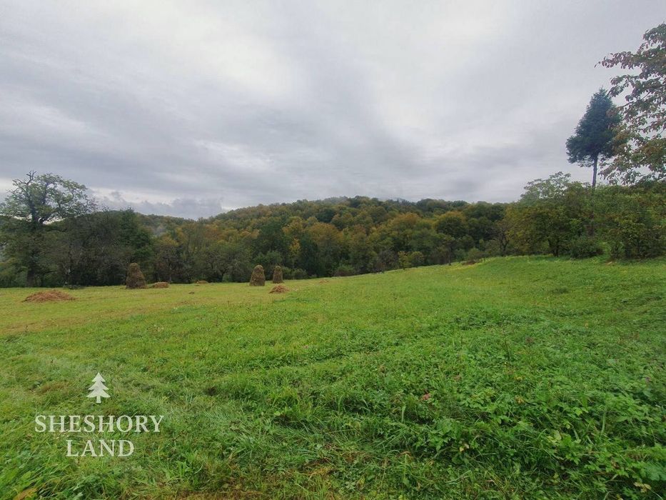 Будинки та земельні  ділянки в Шешорах