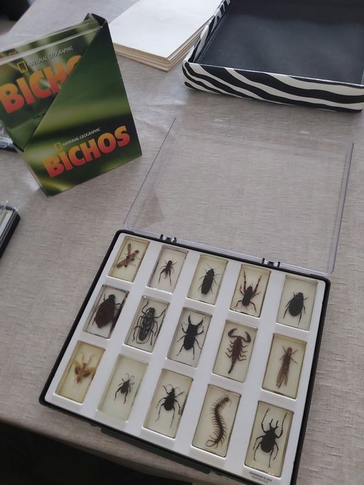 Coleção Dos Bichos(2 caixas completas e uma semi)