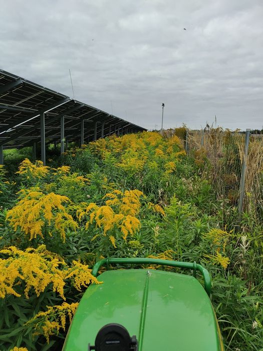Koszenie farm fotowoltaicznych trawy nieużytków paneli