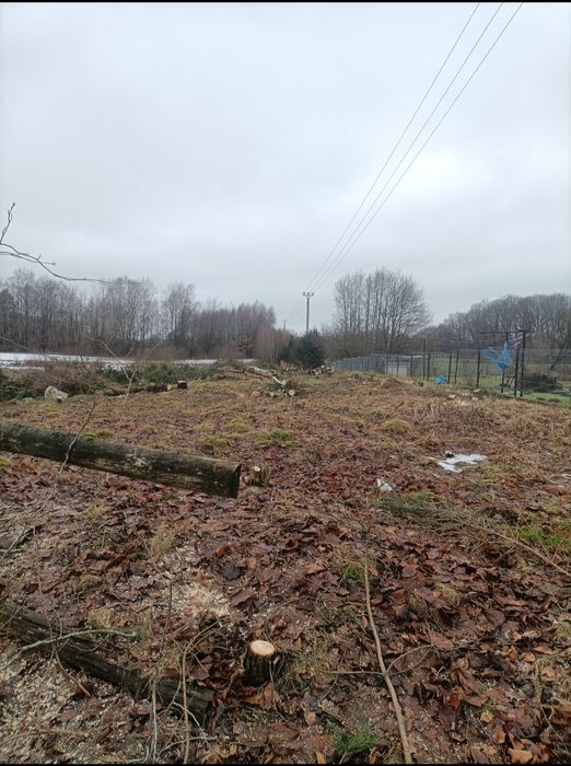 Wycinka drzew koszenie traw usługi rębak