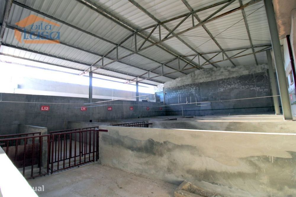 Matadouro Industrial no distrito de Coimbra equipado Pronto a laborar