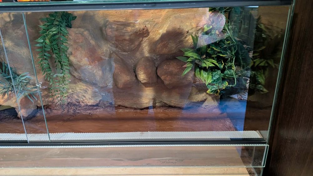Terrarium 100x40x40 cm z tłem strukturalnym i jaskinią + glina i akcesoria