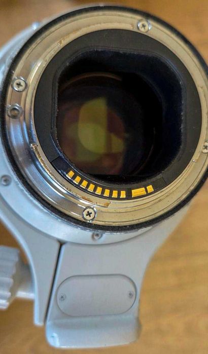 Canon EF 300mm f/2.8 L IS USM