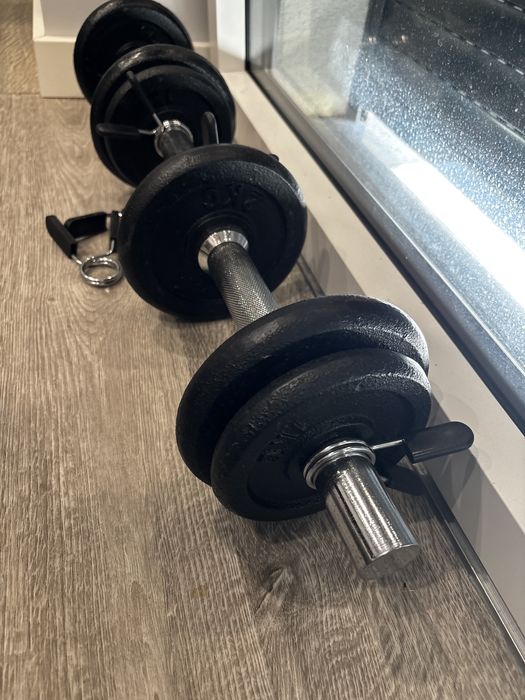 Halteres de Musculação