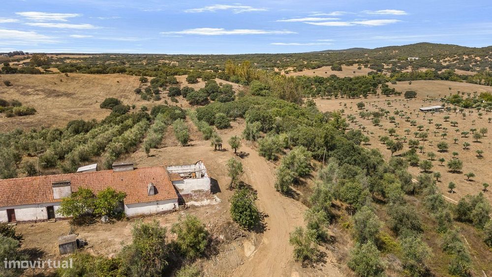 Herdade Com 5,9 Hectares, Moradia E Cavalariça | Santiago Do Escoural