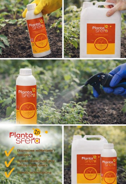 CYNK SYSTEMICZNY Planta Sfera Zn 5 litra