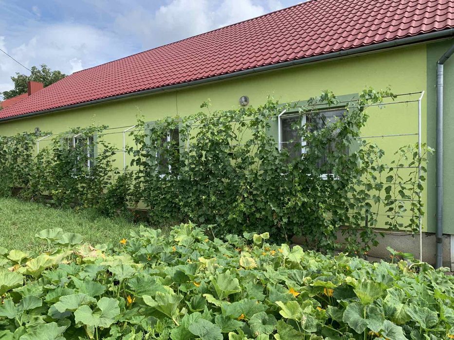 Продам будинок в Гусятині