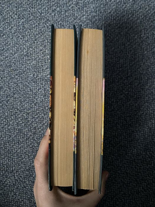 Терри Пратчет Плоский мир