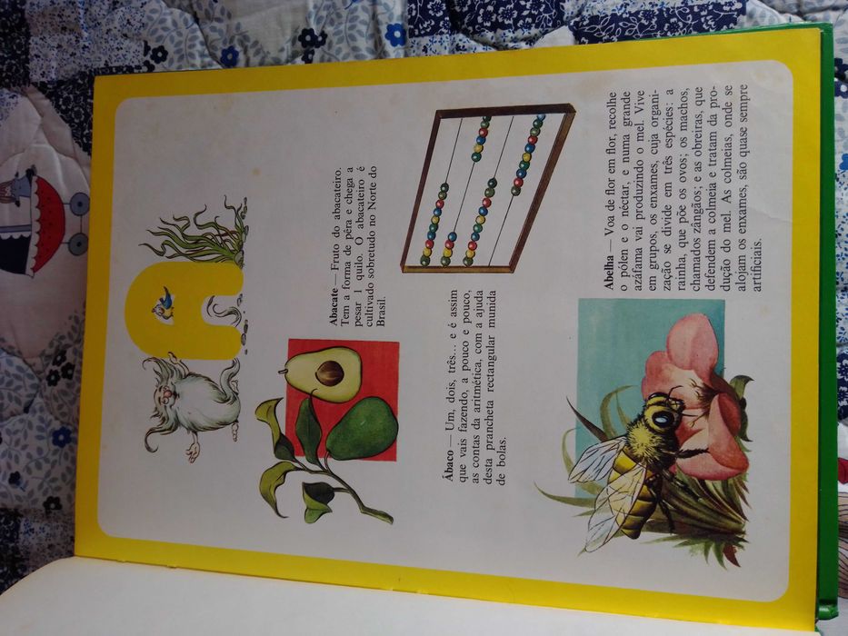 Enciclopédia Infantil Ilustrada