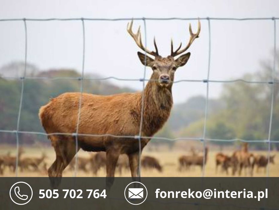 Siatka Leśna Cena PRODUCENTA 170zł 50mb WYSYŁKA GRATIS Na czas budowy